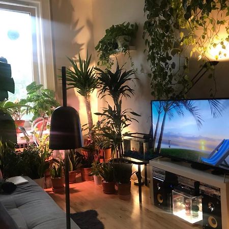 Urban Jungle Oasis In Queens! Apartman New York Kültér fotó