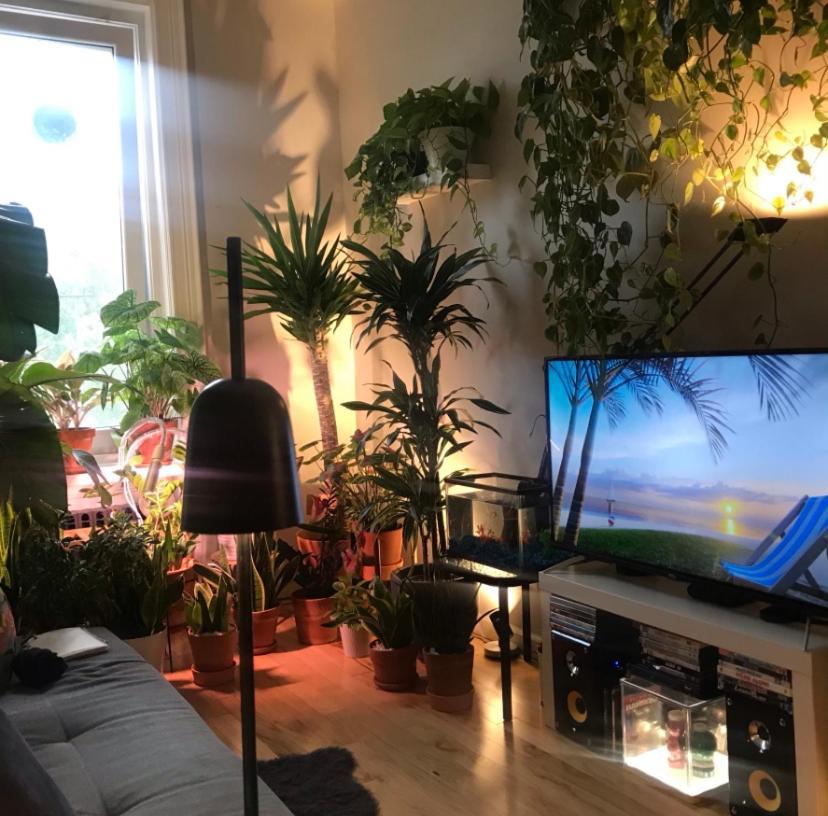 Urban Jungle Oasis In Queens! Apartman New York Kültér fotó