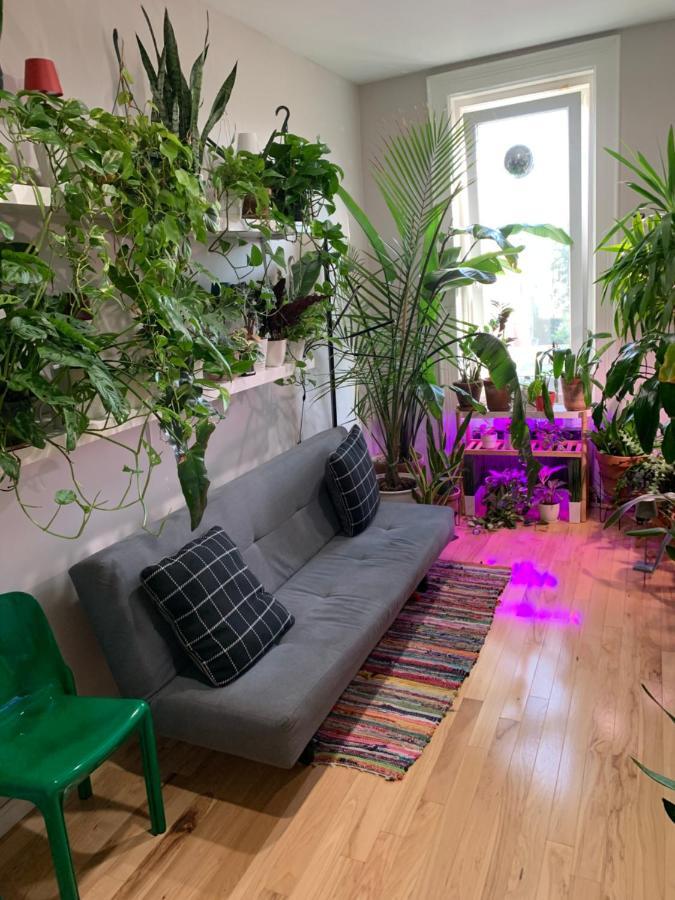 Urban Jungle Oasis In Queens! Apartman New York Kültér fotó