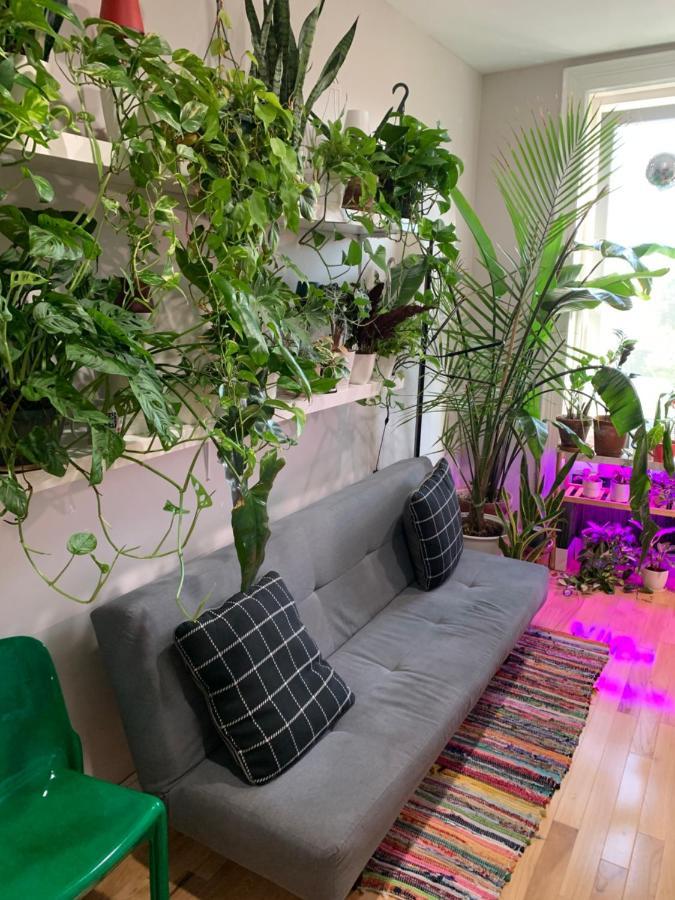 Urban Jungle Oasis In Queens! Apartman New York Kültér fotó