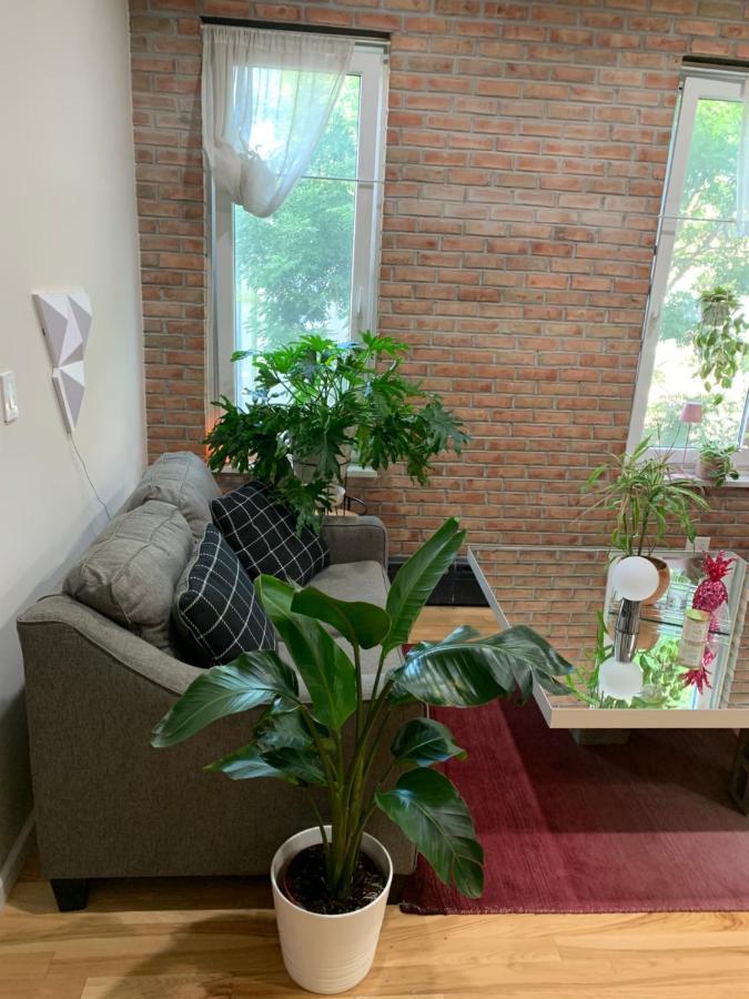 Urban Jungle Oasis In Queens! Apartman New York Kültér fotó