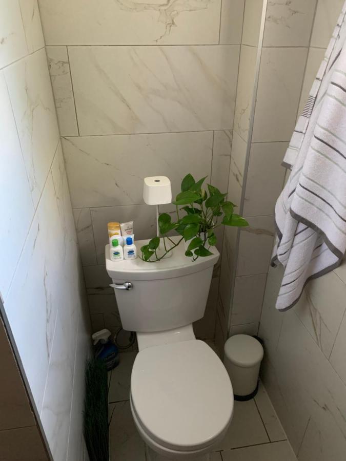 Urban Jungle Oasis In Queens! Apartman New York Kültér fotó