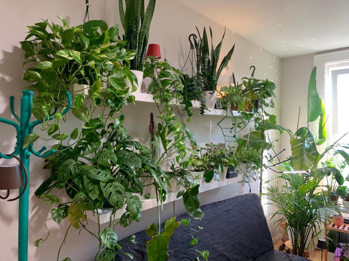 Urban Jungle Oasis In Queens! Apartman New York Kültér fotó