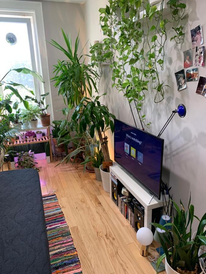 Urban Jungle Oasis In Queens! Apartman New York Kültér fotó